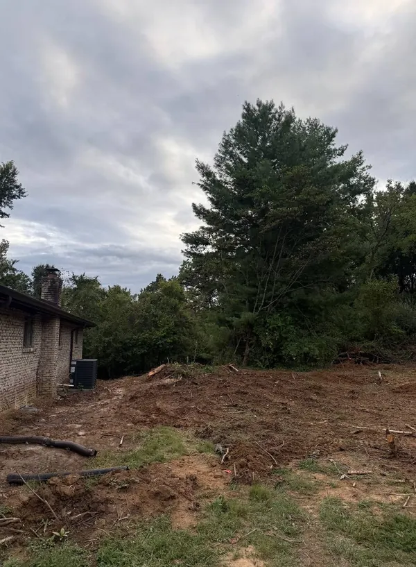 Overgrown side yard cleared down to bare ground beside a brick home, with healthy trees left along the edge