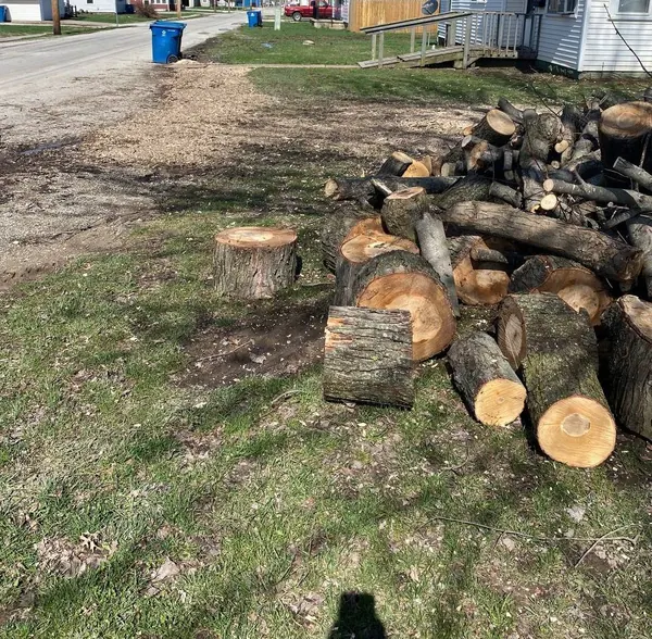 Cut trunk rounds and limbs stacked on a lawn next to the street, ready for haul-off