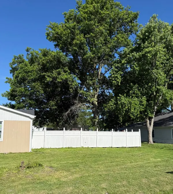 Mature shade trees behind a white vinyl fence, with a dead limb hanging in the center canopy before pruning