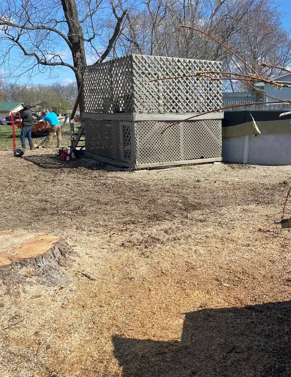 Nova Terra crew running a stump grinder in a backyard, with a fresh stump and ground-down wood chips in the foreground