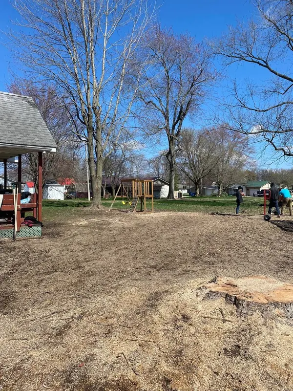 Backyard cleared after tree removal, with a stump ready for grinding and the crew working in the background