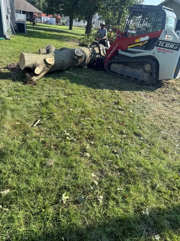 Nova Terra crew member running a compact track loader with a grapple to move a large trunk section across a lawn