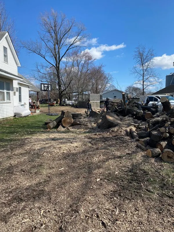 Crew stacking cut logs beside a house after a large removal, with ground stump chips across the yard