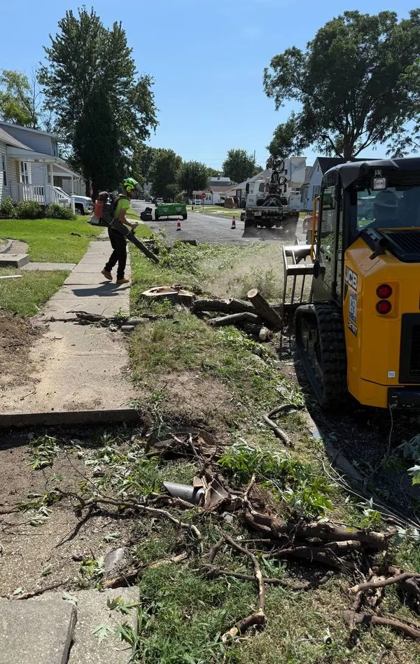 Nova Terra crew member blowing debris off a sidewalk after a street-side tree removal, with a track loader and bucket truck working the block