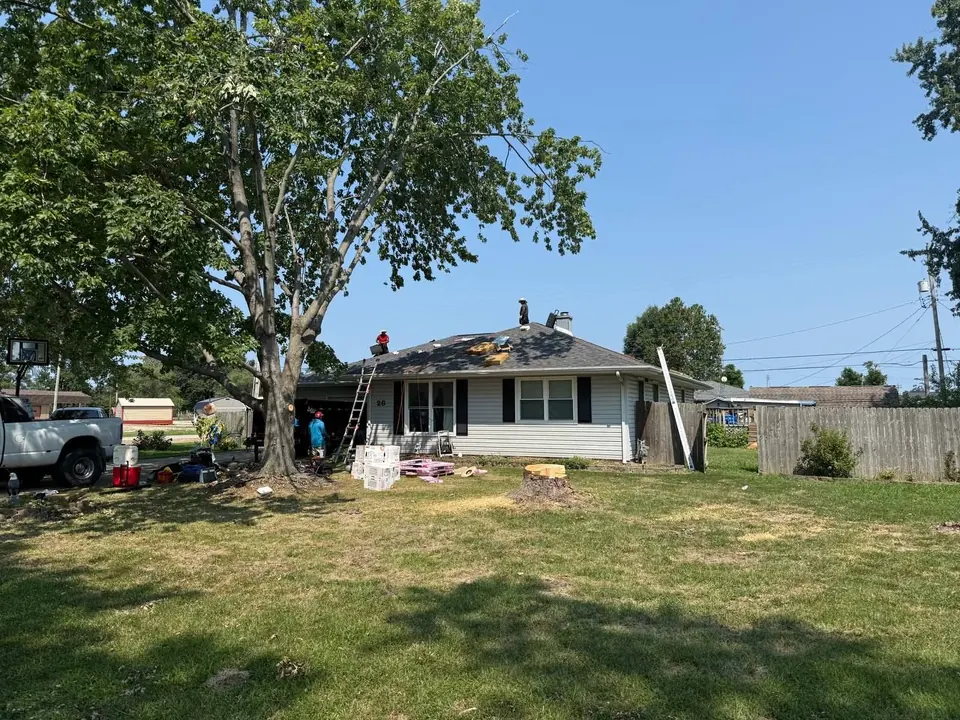 Fresh-cut stump in a front yard after a tree removal, with the healthy neighboring tree left standing